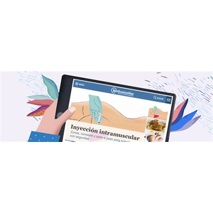 Web Consultas